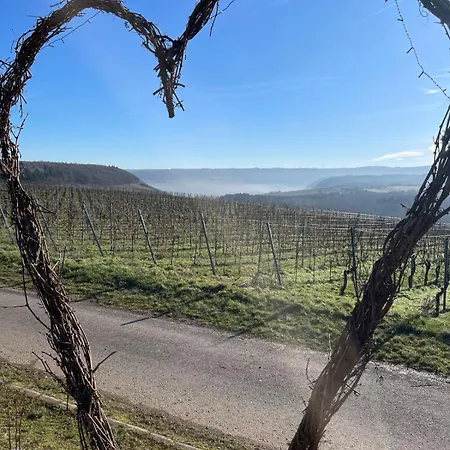 Neue Fewo Mit Weinbergsblick - Urlaub Im Wein- Und Ferienort Bekond Exterior photo