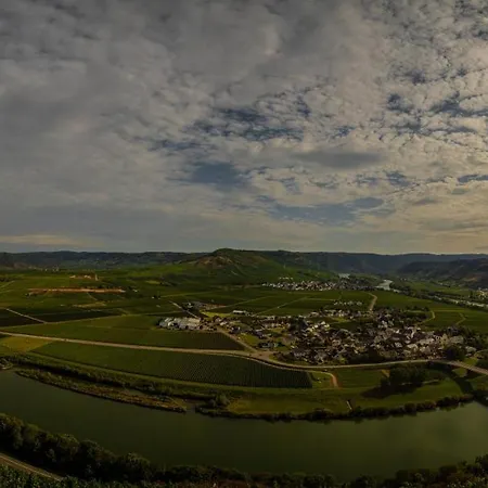 Neue Fewo Mit Weinbergsblick - Urlaub Im Wein- Und Ferienort Bekond Exterior photo