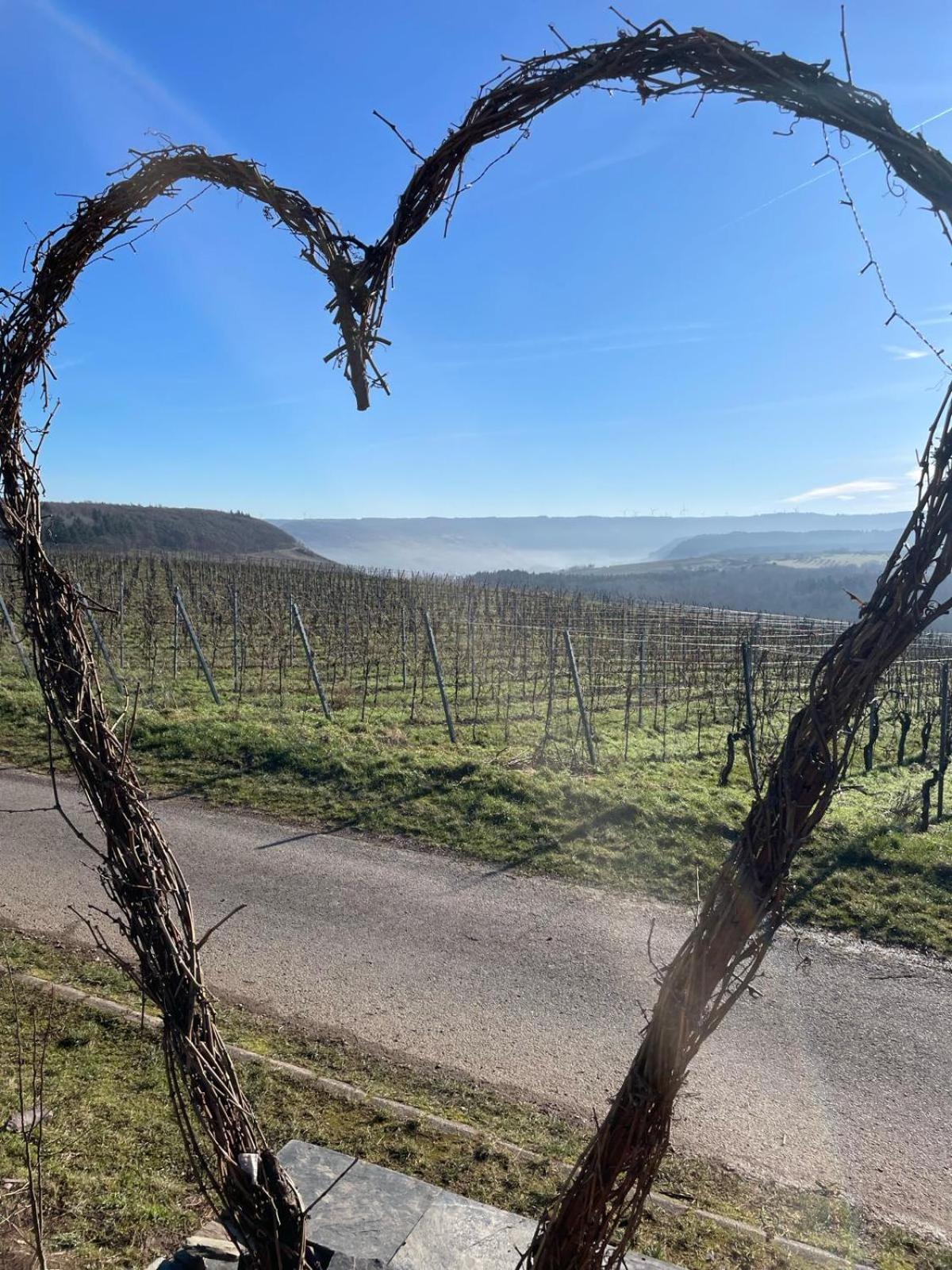 Neue Mit Weinbergsblick - Urlaub Im Wein- Und Ferienort Apartment *