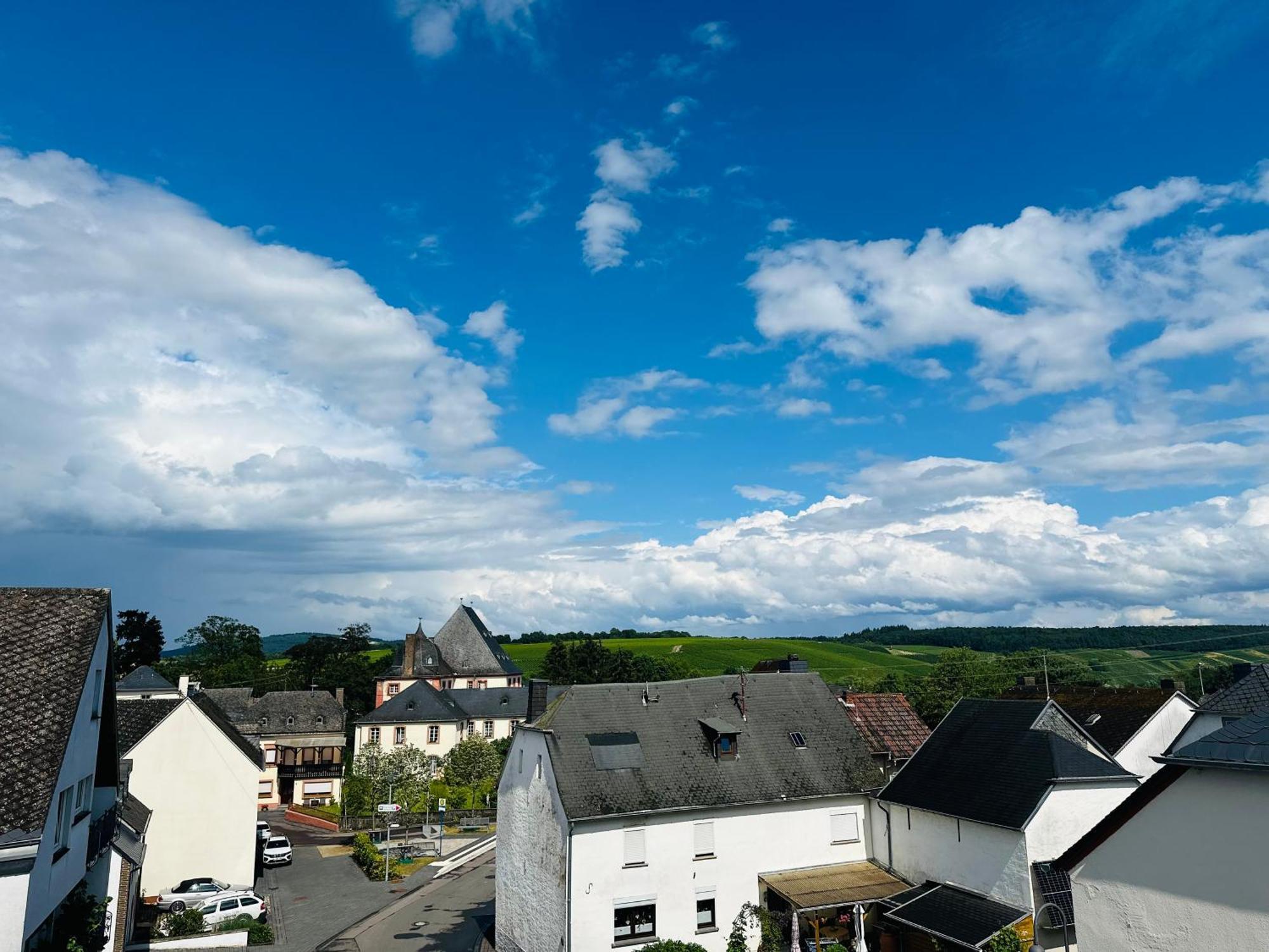 Apartment Neue Mit Weinbergsblick - Urlaub Im Wein- Und Ferienort *